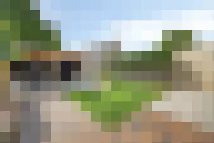 Bellefleur 111 Duiven thumbnail 4