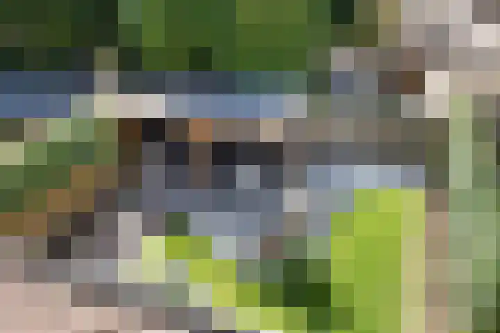Bellefleur 111 Duiven thumbnail 43
