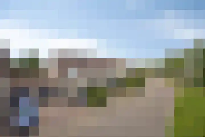 Bellefleur 111 Duiven thumbnail 6
