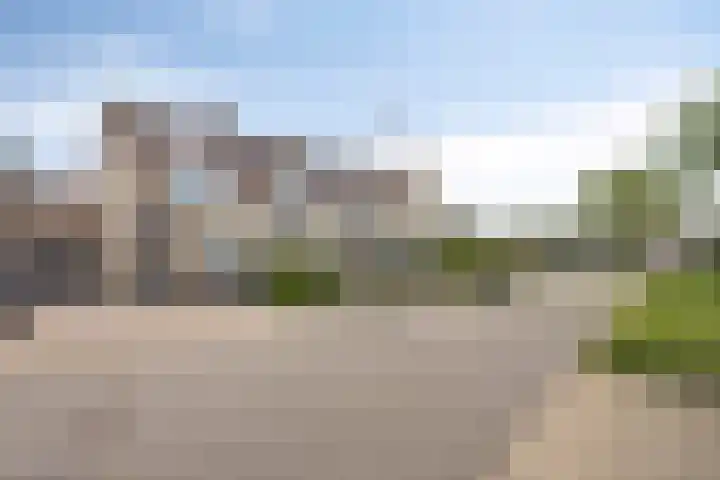 Bellefleur 111 Duiven thumbnail 7