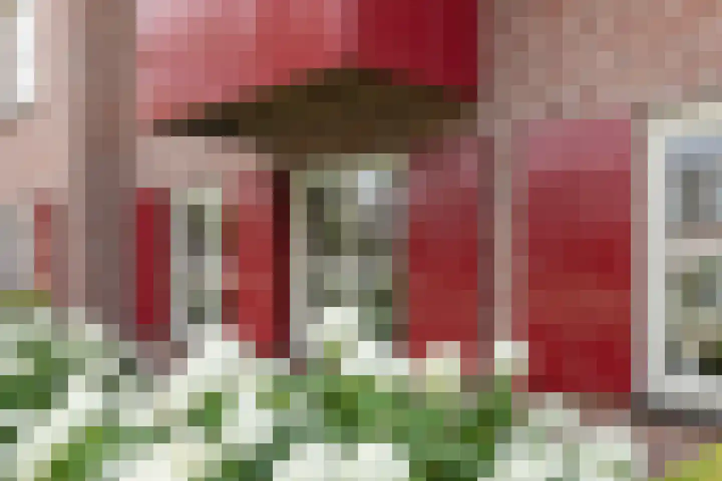 Bellefleur 121 Duiven thumbnail 10