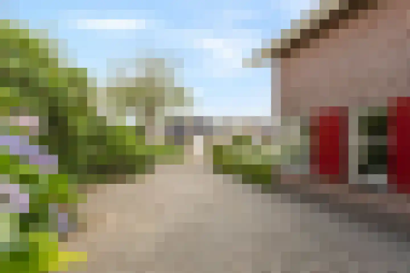 Bellefleur 121 Duiven thumbnail 12
