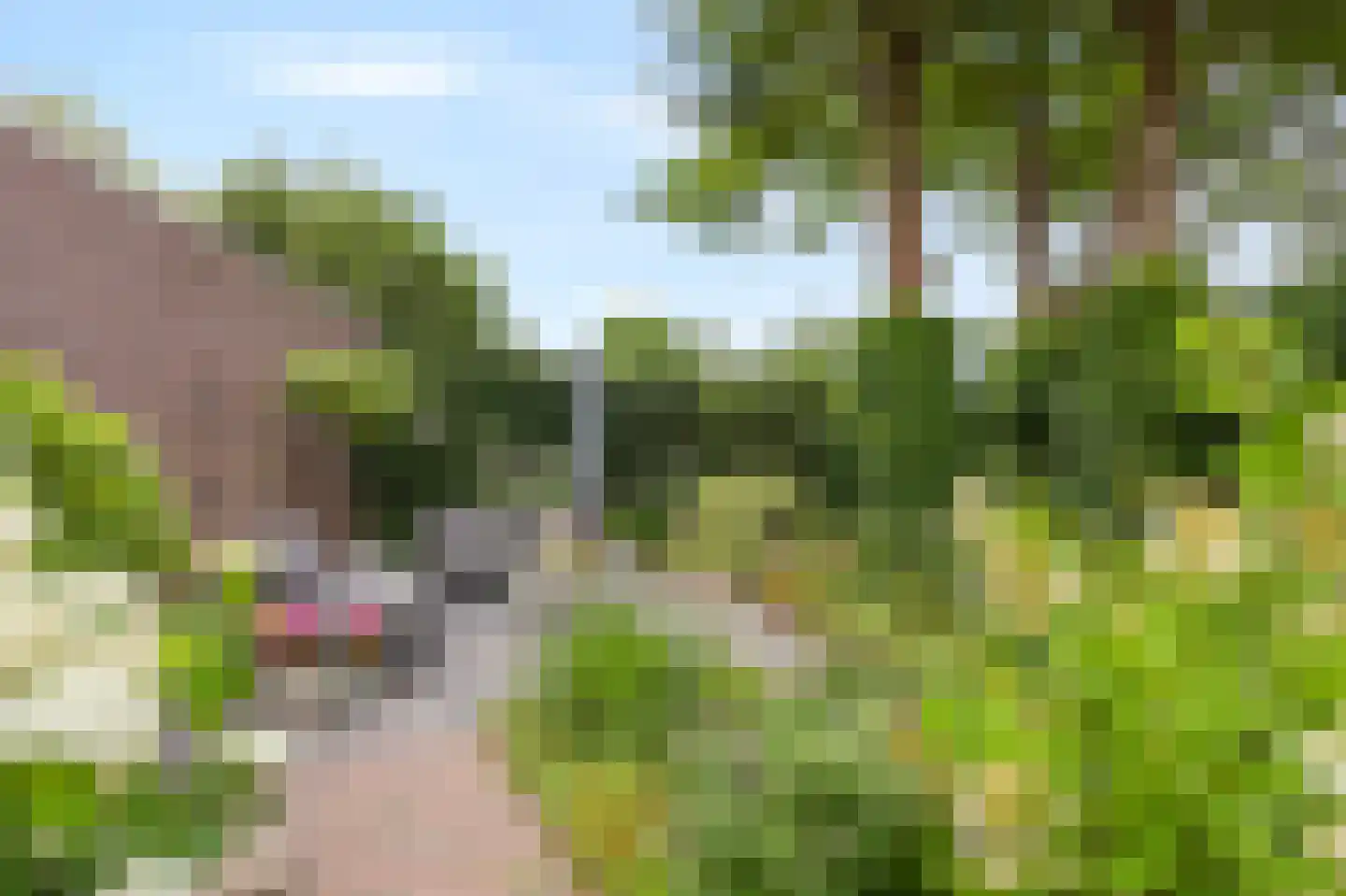 Bellefleur 121 Duiven thumbnail 61