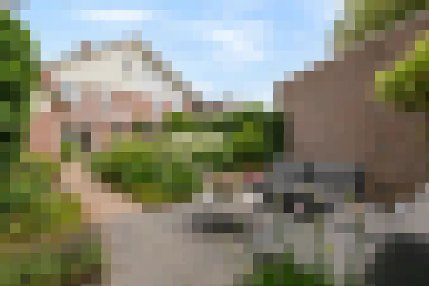 Bellefleur 121 Duiven thumbnail 63