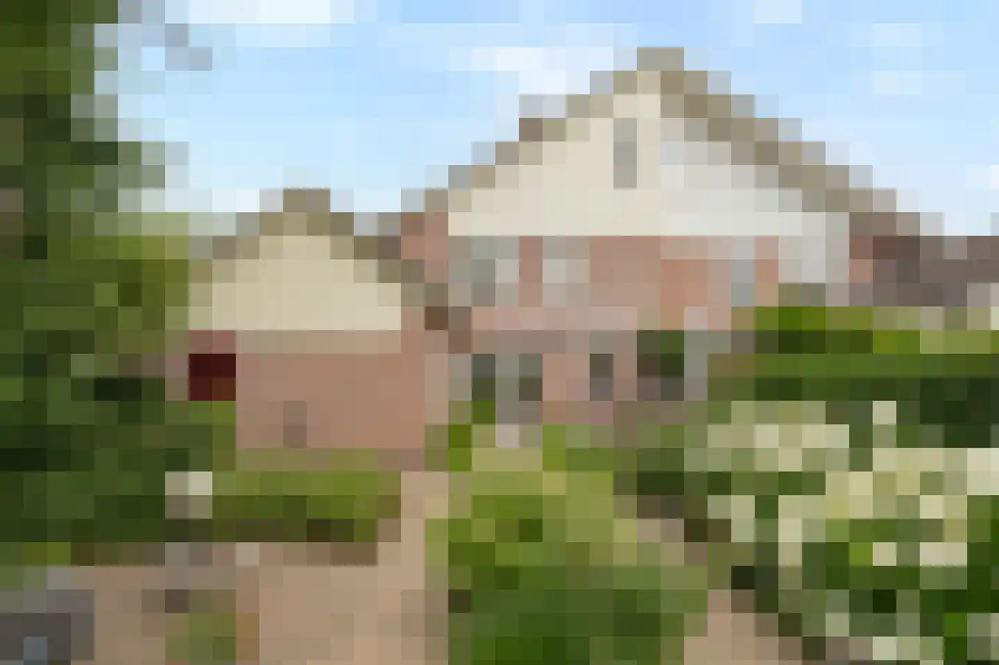 Bellefleur 121 Duiven thumbnail 65