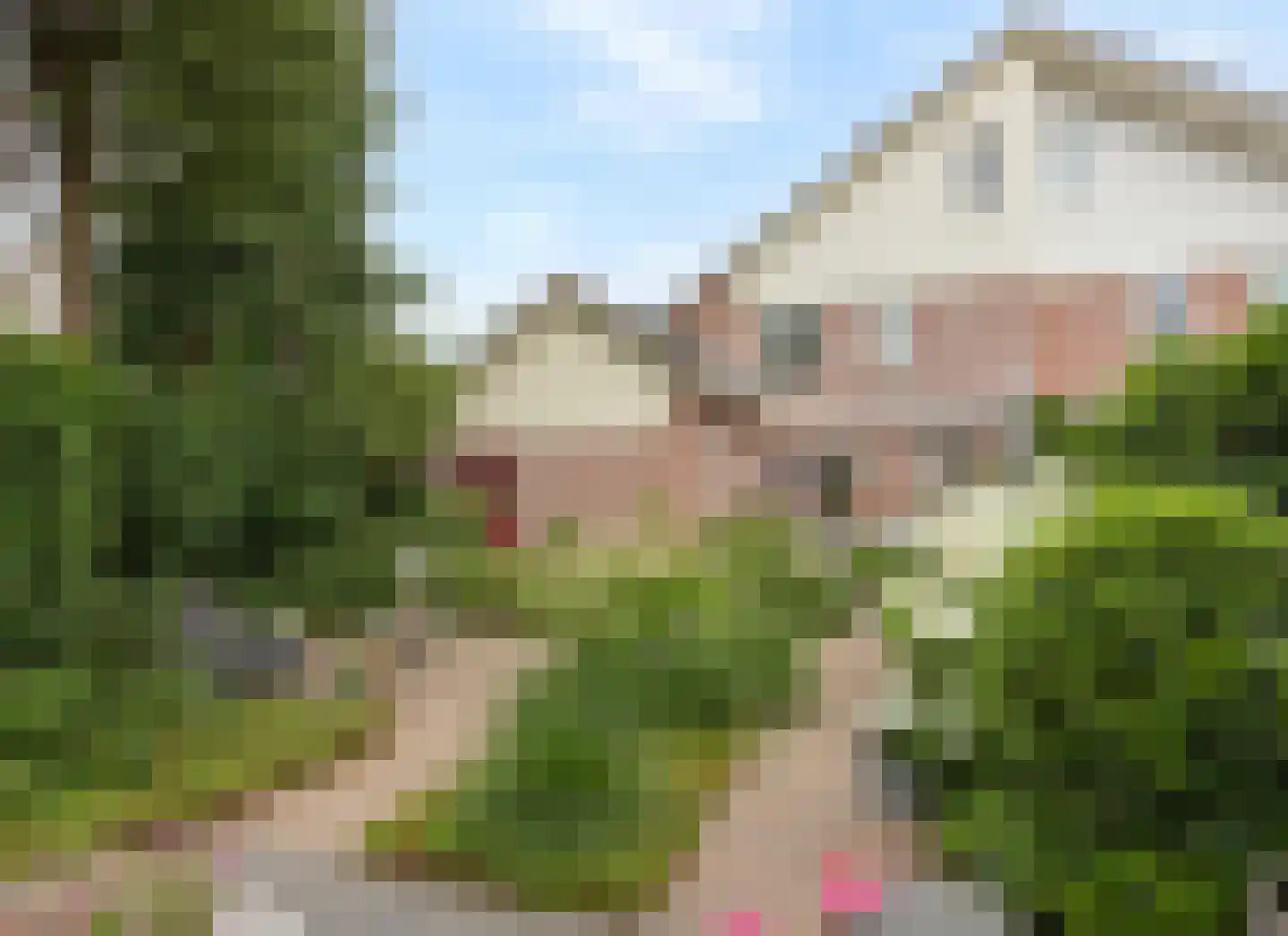 Bellefleur 121 Duiven thumbnail 66