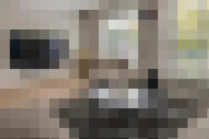 Bellefleur 13 Tiel thumbnail 10