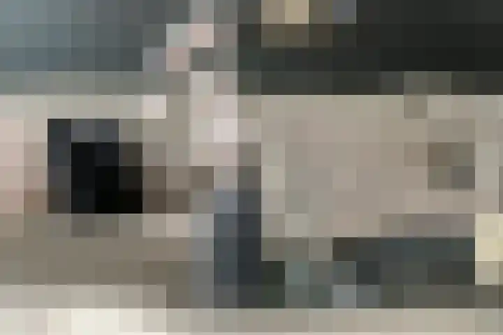 Bellefleur 13 Tiel thumbnail 11