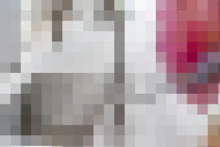 Bellefleur 13 Tiel thumbnail 19