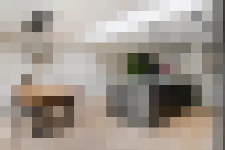 Bellefleur 13 Tiel thumbnail 20