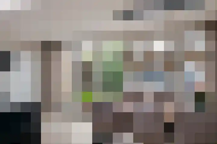 Bellefleur 13 Tiel thumbnail 24