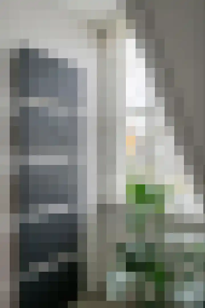 Bellefleur 13 Tiel thumbnail 30