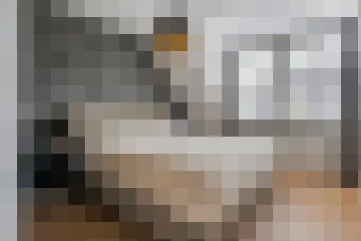 Bellefleur 13 Tiel thumbnail 31
