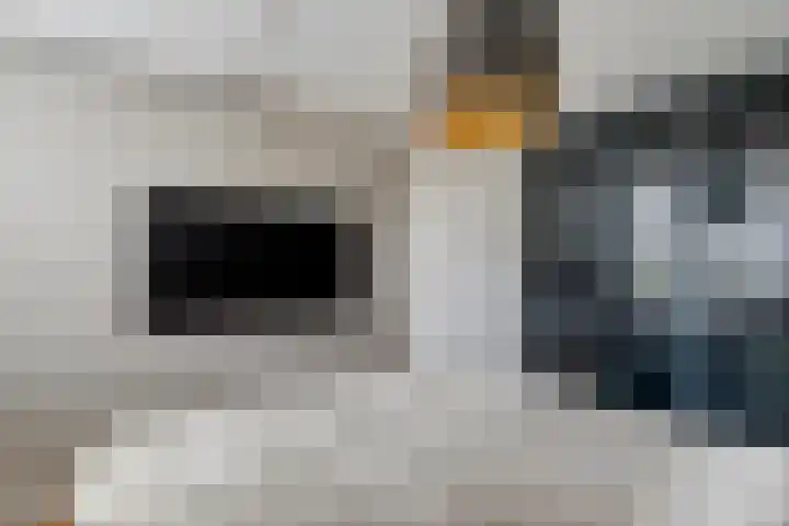 Bellefleur 13 Tiel thumbnail 32