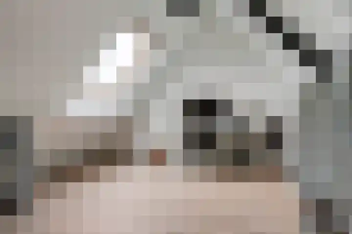 Bellefleur 13 Tiel thumbnail 37