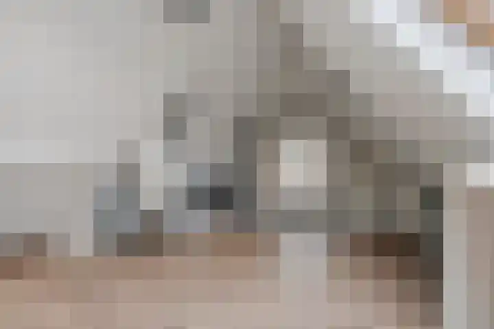 Bellefleur 13 Tiel thumbnail 38