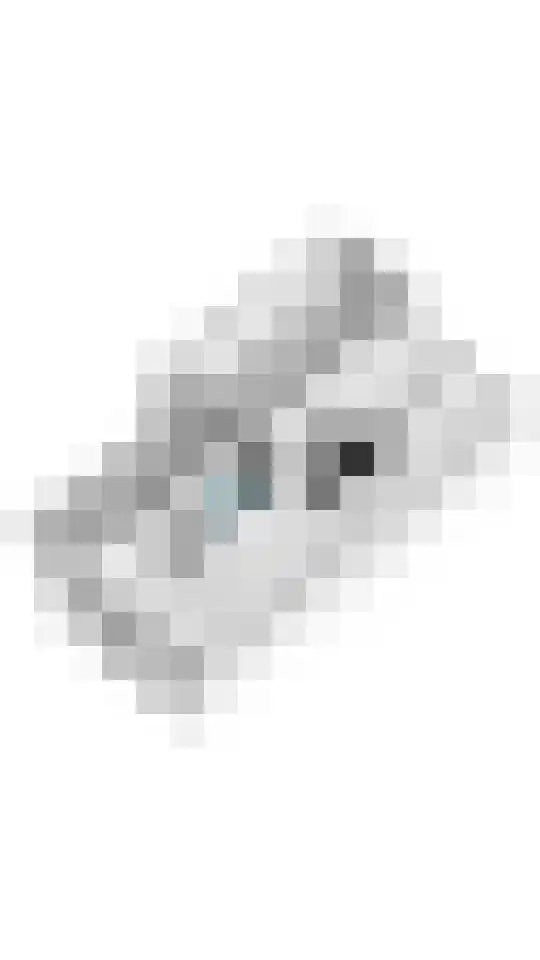 Bellefleur 13 Tiel thumbnail 50
