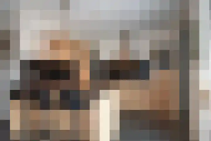 Bellefleur 19 Borne thumbnail 12
