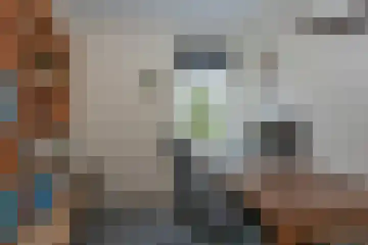 Bellefleur 19 Borne thumbnail 24