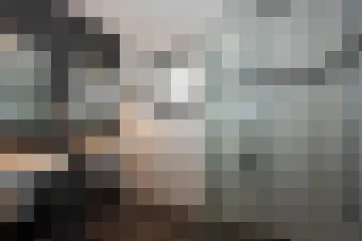 Bellefleur 19 Borne thumbnail 26