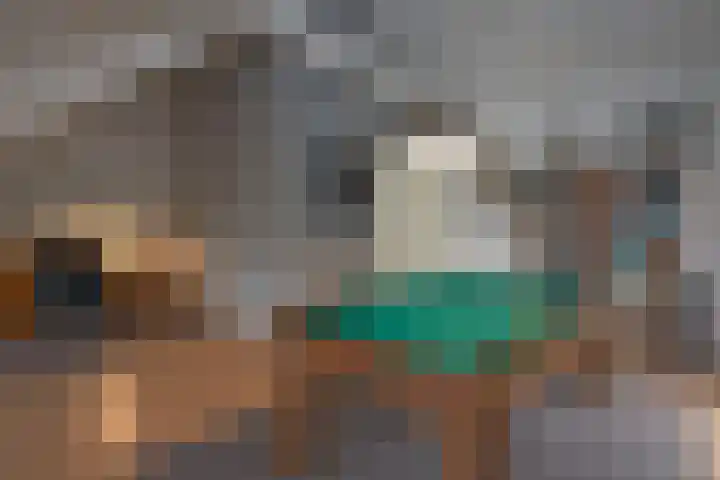 Bellefleur 19 Borne thumbnail 31