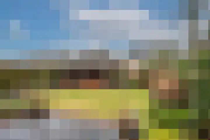 Bellefleur 19 Borne thumbnail 34