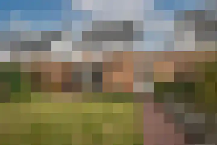 Bellefleur 19 Borne thumbnail 38