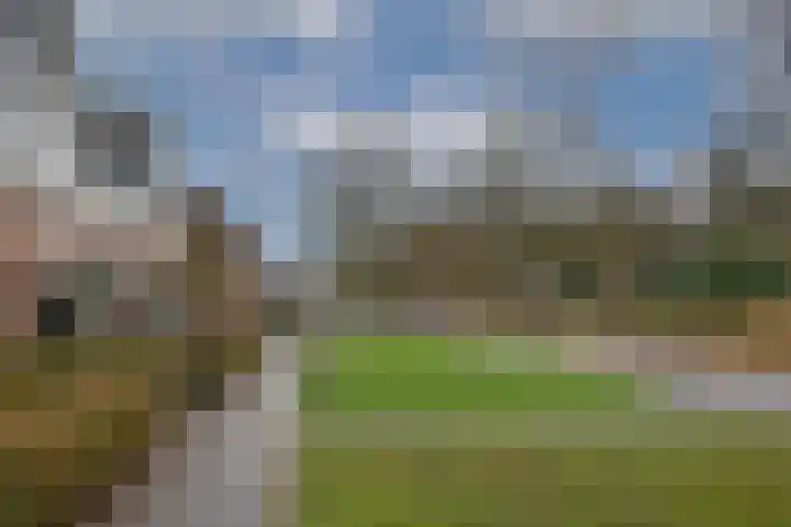 Bellefleur 19 Borne thumbnail 39