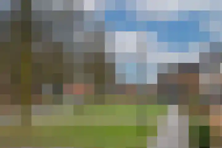 Bellefleur 19 Borne thumbnail 40
