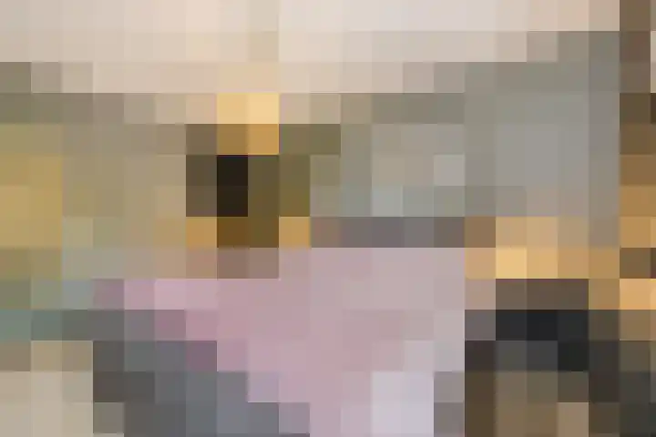 Bellefleur 26 Uden thumbnail 24