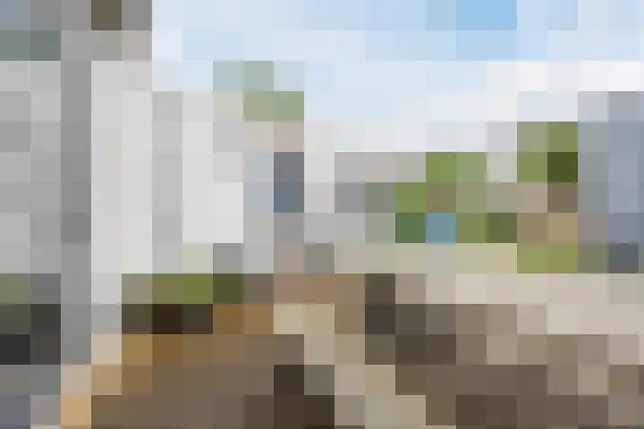 Bellefleur 26 Uden thumbnail 38