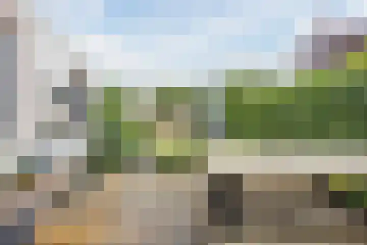 Bellefleur 26 Uden thumbnail 39