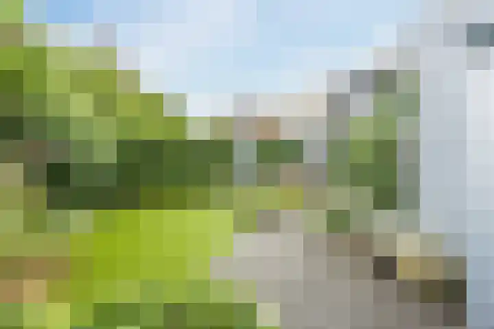 Bellefleur 26 Uden thumbnail 41