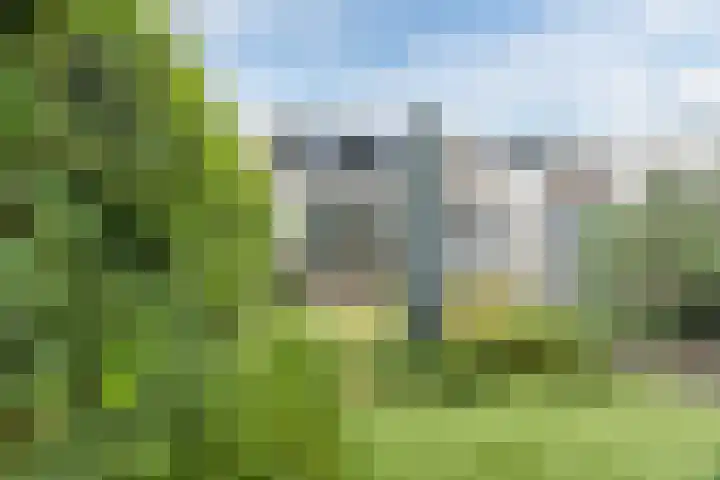 Bellefleur 26 Uden thumbnail 43