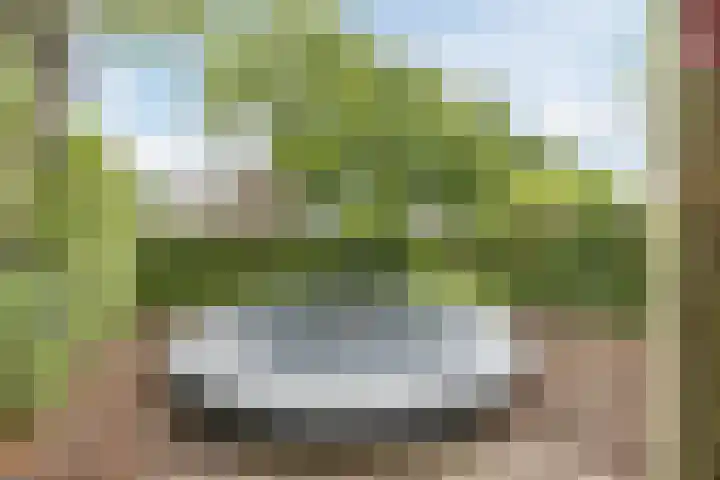 Bellefleur 26 Uden thumbnail 45