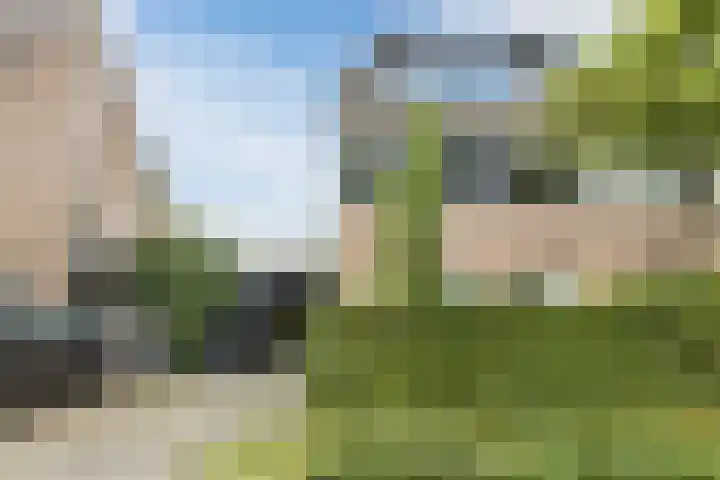 Bellefleur 26 Uden thumbnail 52