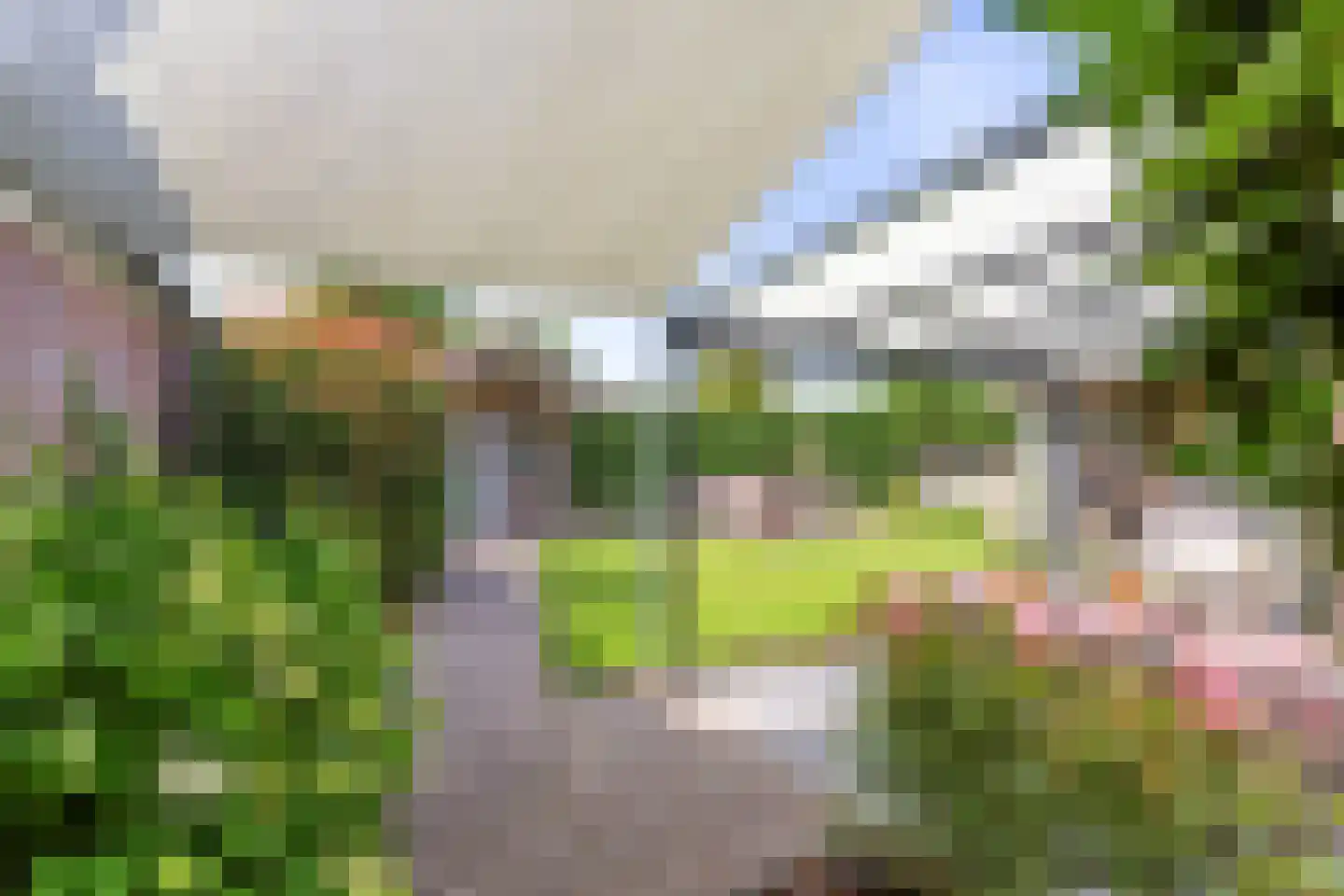 Bellefleur 3 A Eijsden thumbnail 53