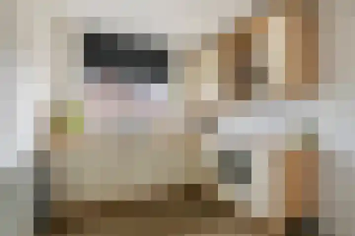 Bellefleur 32 Geldermalsen thumbnail 10