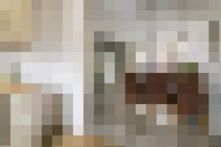 Bellefleur 32 Geldermalsen thumbnail 11