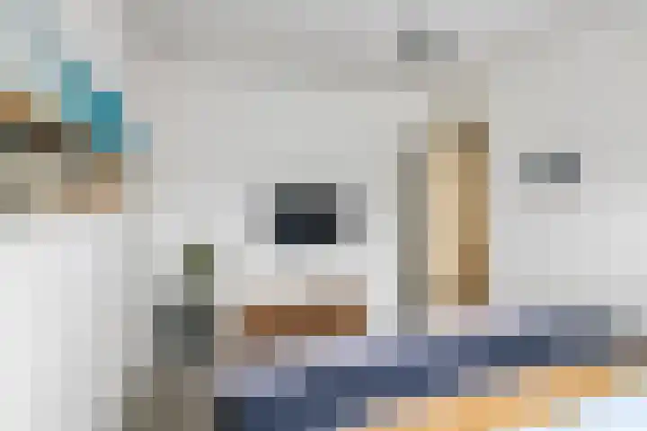 Bellefleur 32 Geldermalsen thumbnail 16