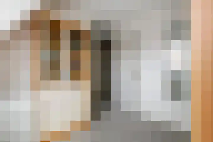 Bellefleur 32 Geldermalsen thumbnail 20