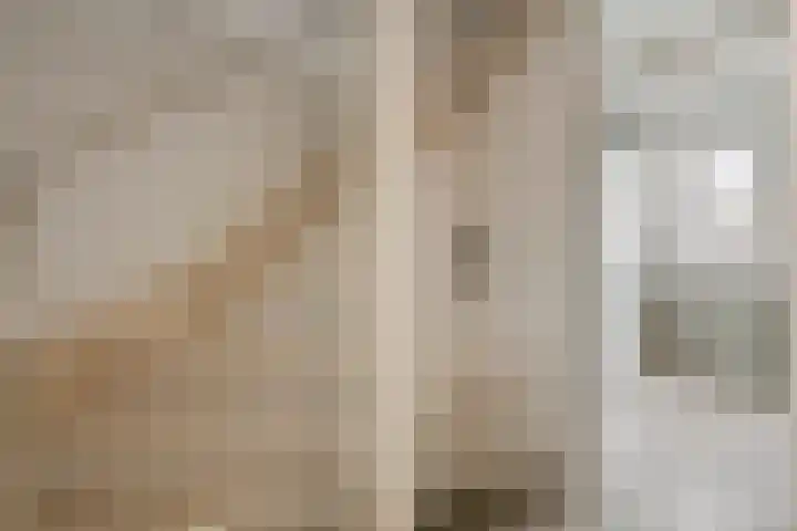 Bellefleur 32 Geldermalsen thumbnail 22