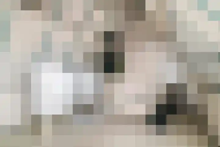 Bellefleur 32 Geldermalsen thumbnail 24