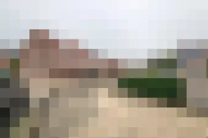 Bellefleur 32 Geldermalsen thumbnail 29