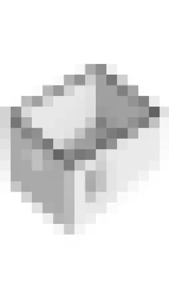 Bellefleur 32 Geldermalsen thumbnail 38