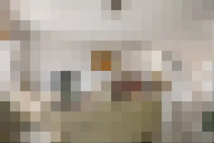 Bellefleur 32 Geldermalsen thumbnail 5