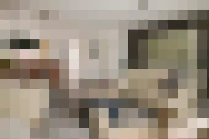 Bellefleur 32 Geldermalsen thumbnail 7