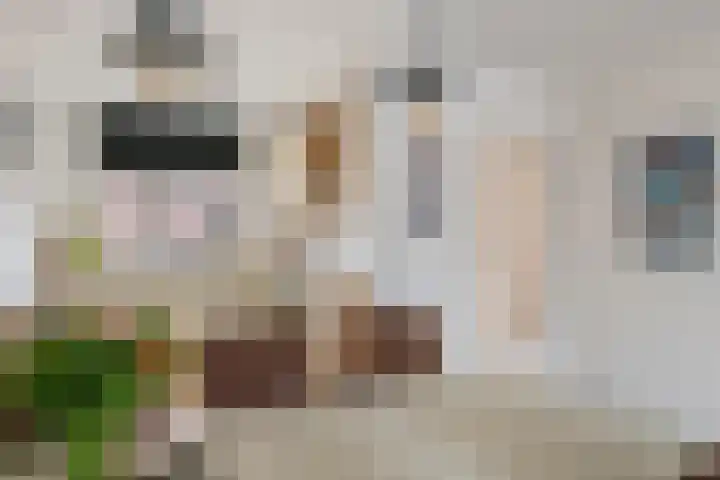 Bellefleur 32 Geldermalsen thumbnail 9