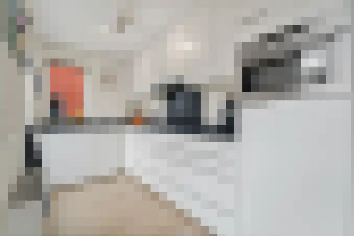 Bellefleur 35 Den Hoorn thumbnail 4