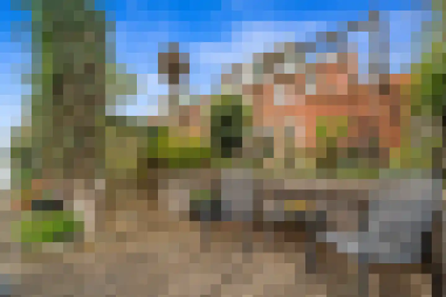Bellefleur 35 Den Hoorn thumbnail 53